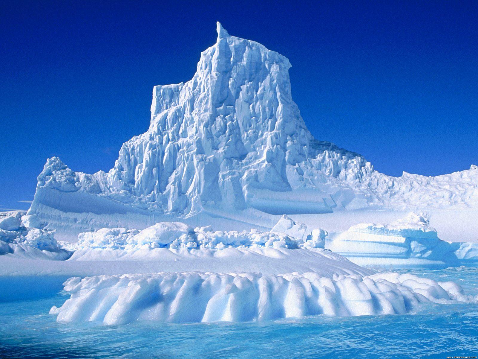 penguin-love-ice-berg.jpg